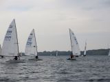 IMG_2965.jpg
