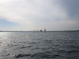 IMG_2993.jpg