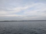 IMG_2790.jpg
