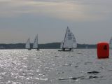 IMG_2881.jpg