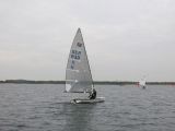 IMG_3129.jpg
