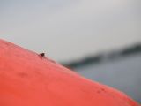 IMG_3162.jpg