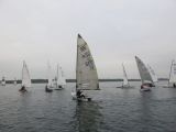 IMG_3231.jpg