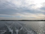 IMG_2785.jpg
