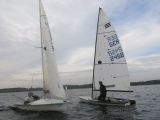 IMG_2798.jpg