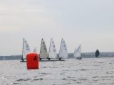 IMG_2883.jpg