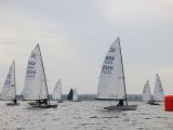 IMG_2890.jpg