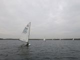 IMG_3135.jpg