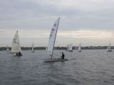 IMG_2824.jpg