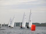 IMG_2971.jpg