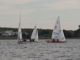 s_2040762.jpg