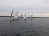 IMG_2833.jpg