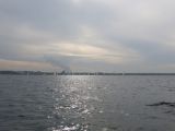 IMG_2865.jpg