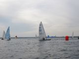 IMG_2897.jpg