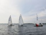 IMG_2987.jpg