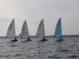 IMG_2990.jpg