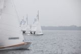 _MG_9667.jpg