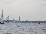 IMG_2880.jpg