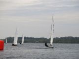 IMG_2979.jpg
