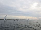 IMG_2816.jpg