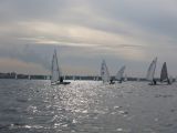 IMG_2875.jpg