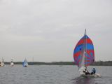 IMG_3113.jpg