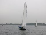 IMG_3315.jpg