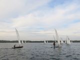 IMG_2826.jpg