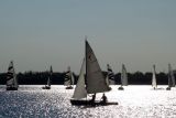 DSC00281.jpg