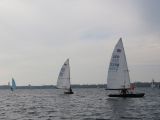 IMG_2983.jpg