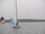 IMG_3339.jpg