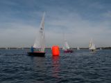 s_2040580.jpg