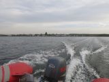 IMG_2782.jpg
