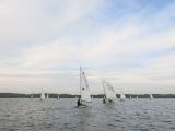 IMG_2821.jpg