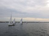 IMG_2823.jpg