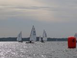 IMG_2882.jpg