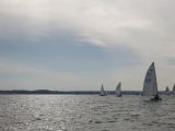 IMG_2985.jpg