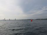 IMG_2995.jpg