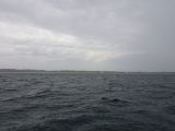 s20180921_163957.jpg