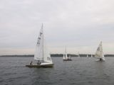 IMG_2827.jpg