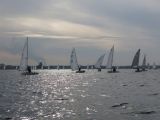 IMG_2876.jpg