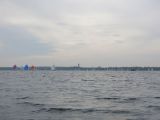 IMG_2850.jpg