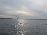 IMG_2868.jpg