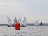 IMG_2884.jpg