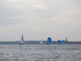 IMG_2898.jpg