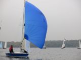 IMG_3335.jpg