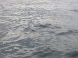 IMG_2851.jpg