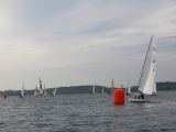 IMG_2982.jpg