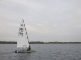 IMG_3123.jpg