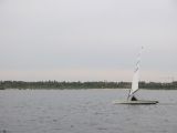 IMG_3132.jpg